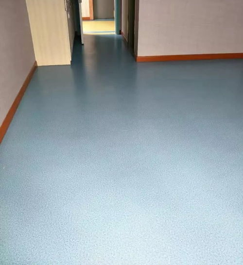 冕宁 PVC塑胶地板 嘉陵区地胶 产房塑胶地板