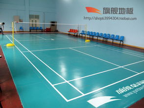 河北保定运动地板 旗舰pvc塑胶地板 室内运动地板 公司网址 http www.yundongdiban.com高清图片 高清大图