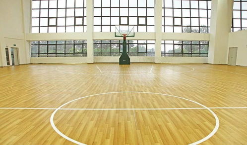 沈阳天韵舞蹈地胶批发 舞韵系列塑胶地板