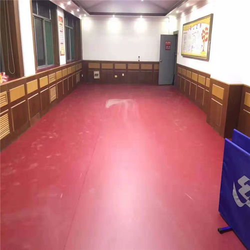 乒乓球场地胶 品牌塑胶地板