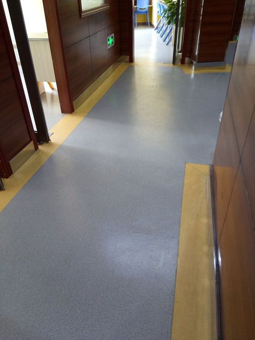 翠屏区 pvc塑胶地板 三台县地胶 蛋糕房木纹运动地胶
