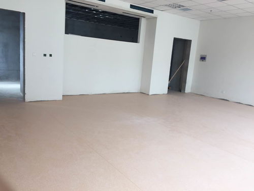 山东青岛市阿姆斯壮学校耐污塑胶地板