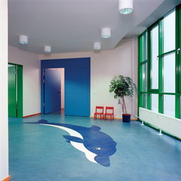 探索韩国LG品牌塑胶地板 武汉专业运动地板与高清大图解析